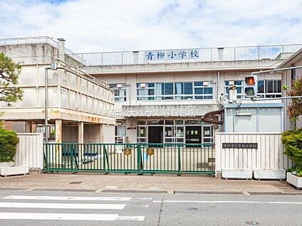 草加市立青柳小学校 350m(-)