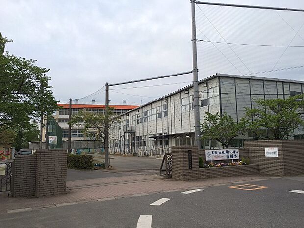 川口市立前川小学校（約1,000m）