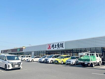 角上魚類越谷店 1600m(-)
