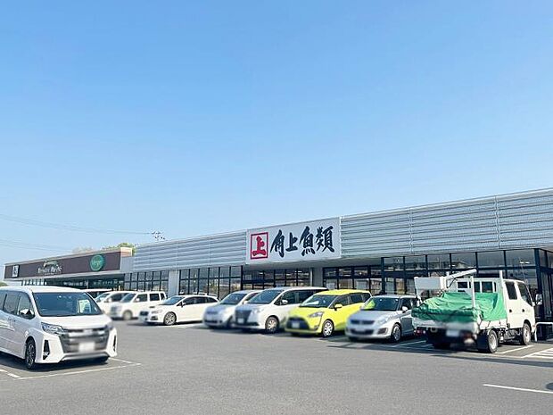角上魚類越谷店(約1,600m)