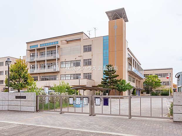草加市立西町小学校(約900m)
