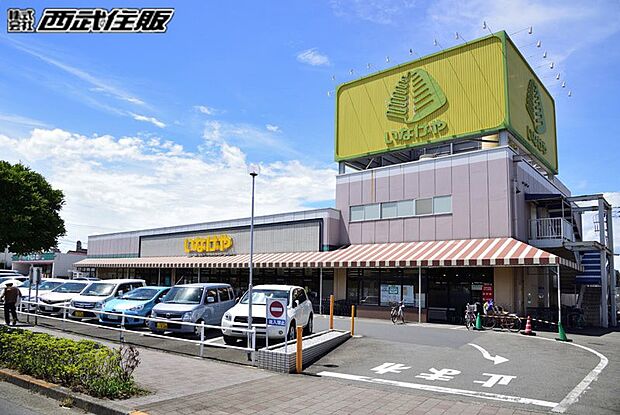 いなげや青梅師岡店(約880m・徒歩11分)