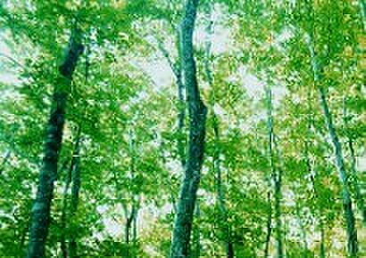 【ZEH水準】ZEH水準　断熱等性能等級５と一次エネルギー等級６を全棟に搭載。  理想の快適さと、良好なエネルギー効率の住空間に。