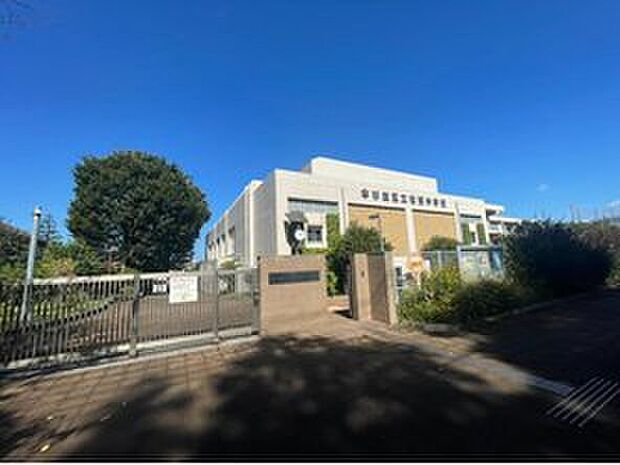 杉並区立松渓中学校(約586m)