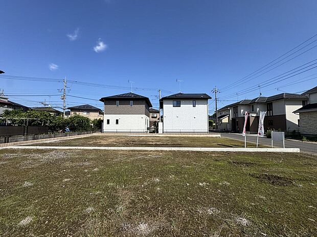 撮影：2025年6月