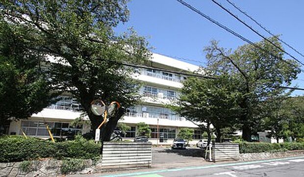 国分寺中学校（約1m）