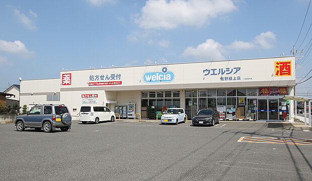 ウェルシア佐野植上店(約900m)