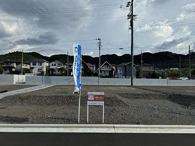 B-43号地(2024年9月撮影)