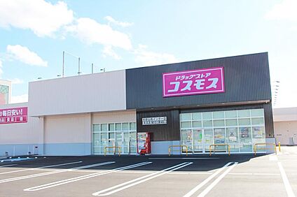 ドラッグストアコスモス和歌山南インター店 910m(-)