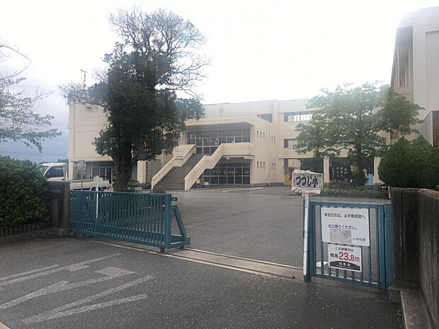 つつじが丘小学校（約200m）