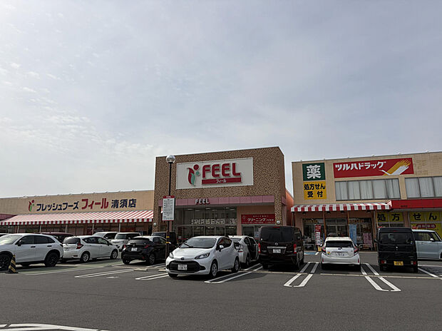 フィール清須店（約1,000m）