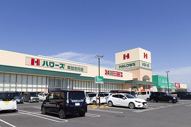 【ハローズ東加古川店まで徒歩約10分~11分】食料品や日用品などの取り扱いがある、24時間営業のスーパーマーケットです。早朝や夜遅くにもコンビニ感覚で利用でき、毎日のお買物が便利です。