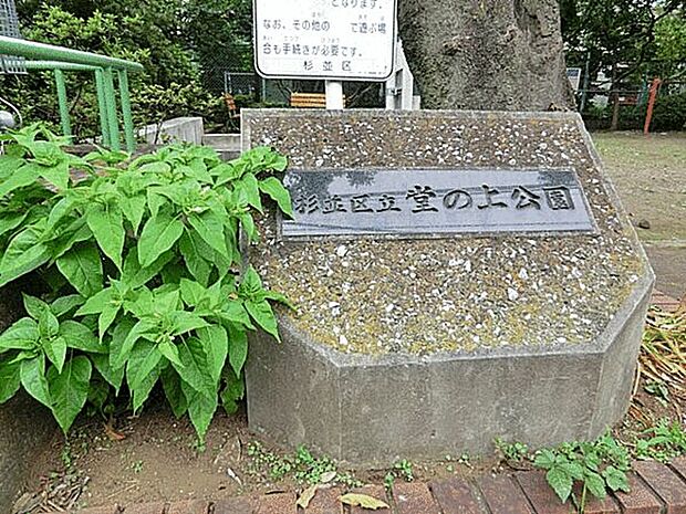 杉並区立堂の上公園まで863m