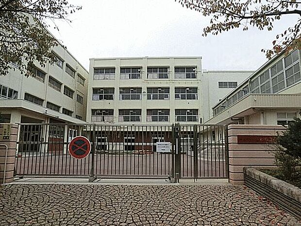 横浜市立さわの里小学校まで854m