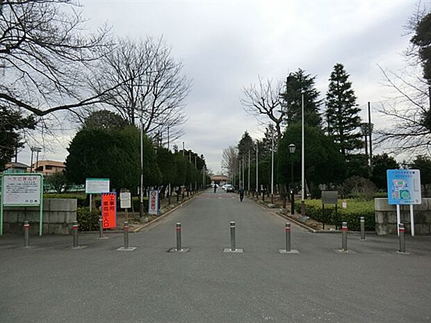川口市青木町公園まで848m