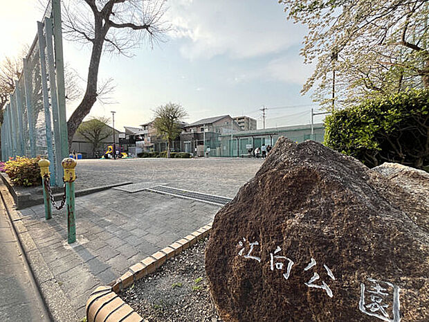 江向公園まで545m