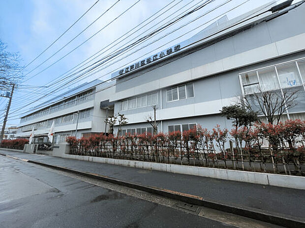 江戸川区立松江小学校まで756m