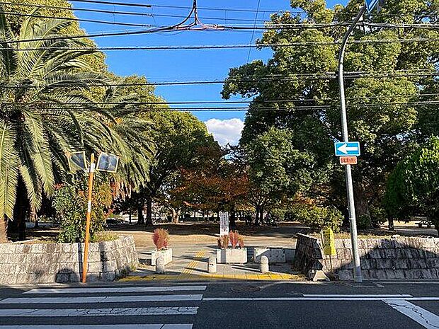 八戸の里公園まで1359m