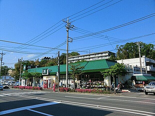 FUJI上中里店まで335m