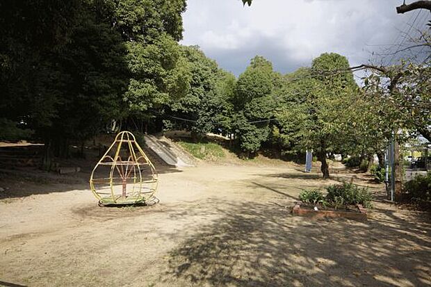 春日山公園まで456m