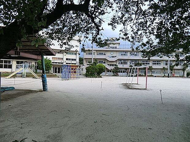 市川市立若宮小学校まで525m