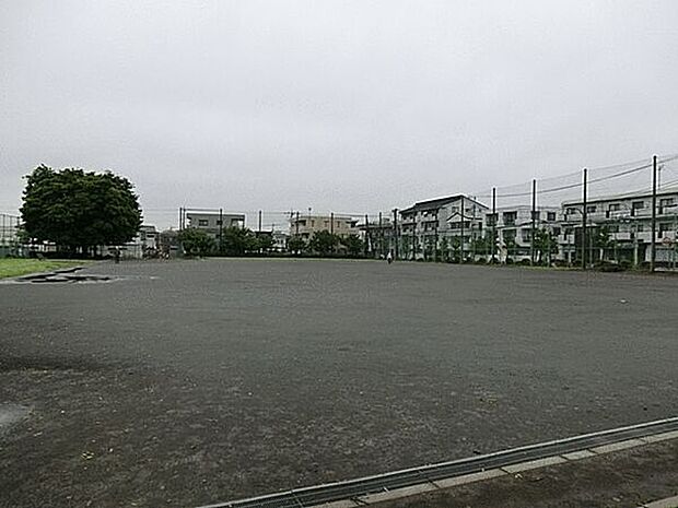 新川あおやぎ公園まで529m