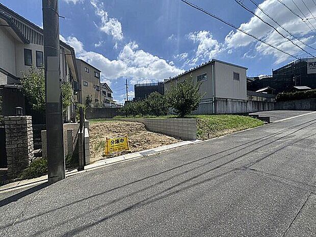 現地(土地)