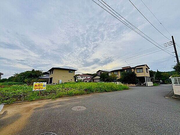現地（土地）