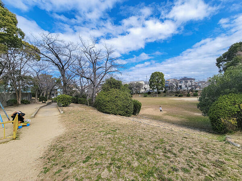 【レジャー】八田寺公園