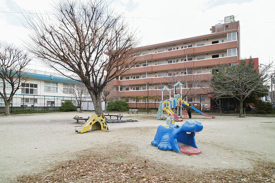 【レジャー】南住吉公園