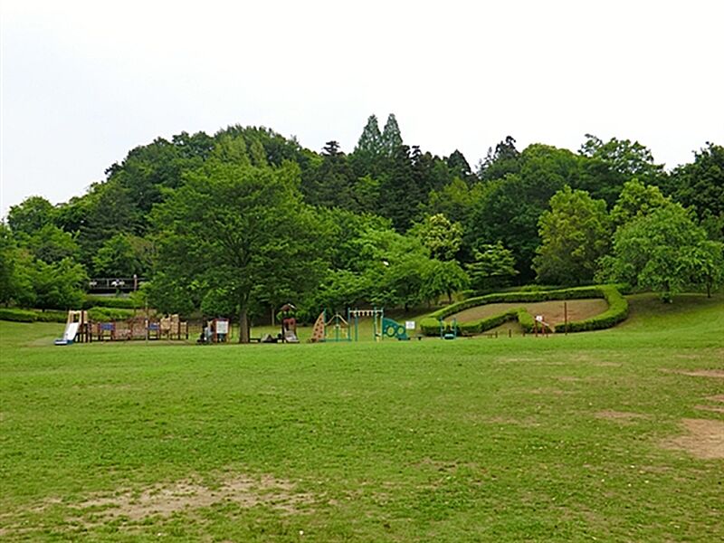 【レジャー】王禅寺ふるさと公園