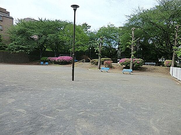 向ヶ丘公園(約730m)