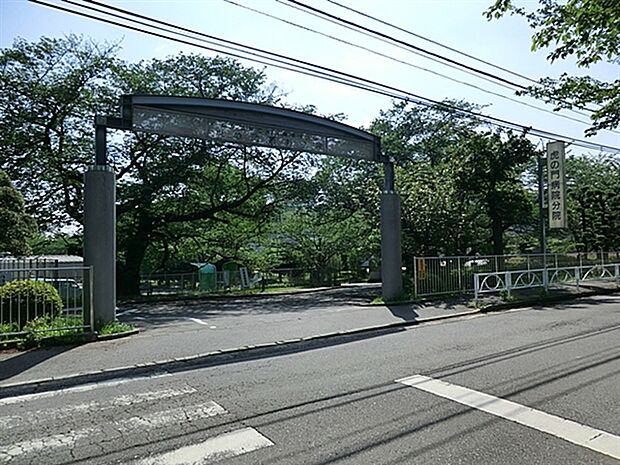 虎の門病院分院(約1,491m)