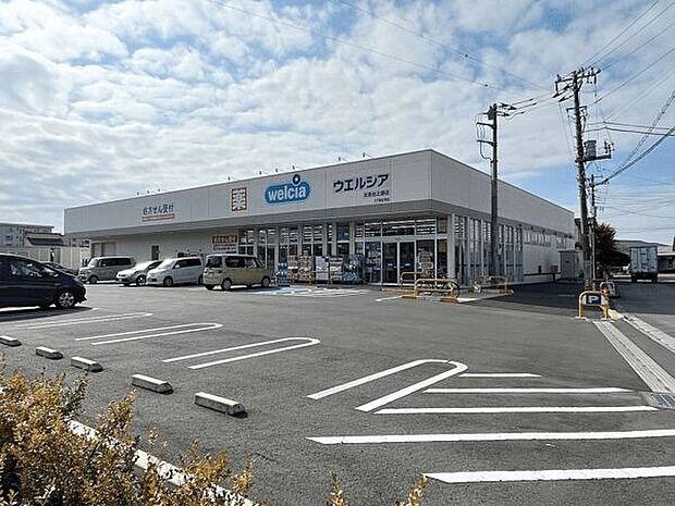 ウエルシア太田台之郷店(約580m)