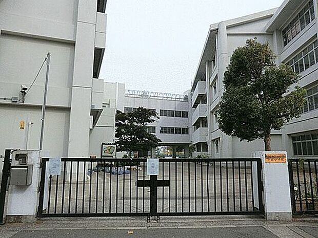 横浜市立小田小学校(約896m)