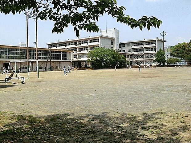 鎌倉市立関谷小学校(約1,137m)