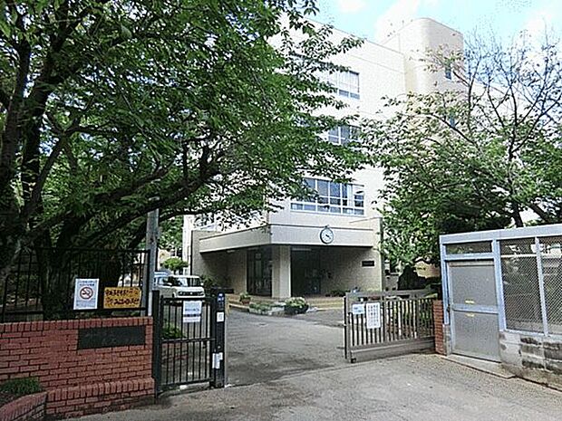 川崎市立長沢小学校（約776m）