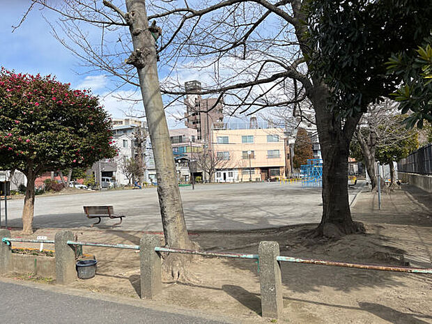 浜町公園(約517m)