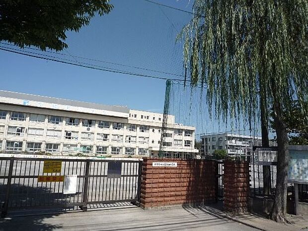 葛飾区立南綾瀬小学校(約554m)
