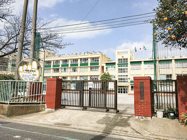 葛飾区立双葉中学校(約996m)