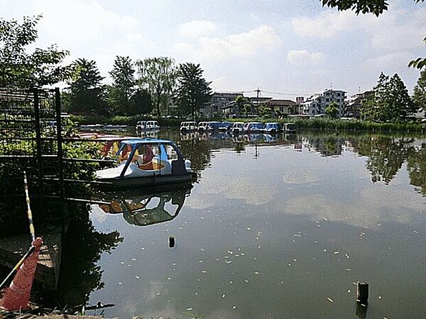 石神井公園(約1,294m)