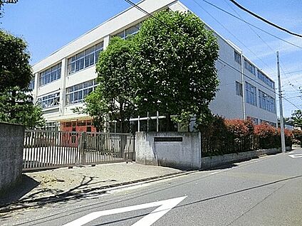 国立市立国立第二中学校 1286m