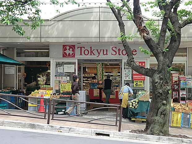 東急ストア宮崎台店(約990m)