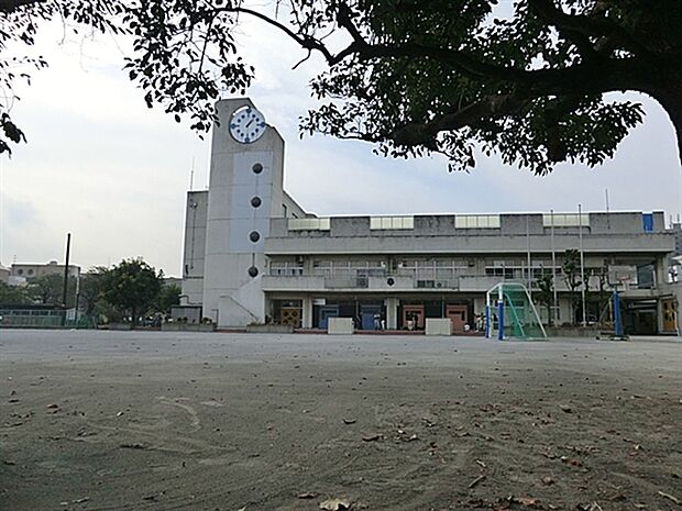 横浜市立南太田小学校（約511m）