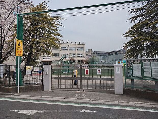 足立区立扇小学校(約515m)