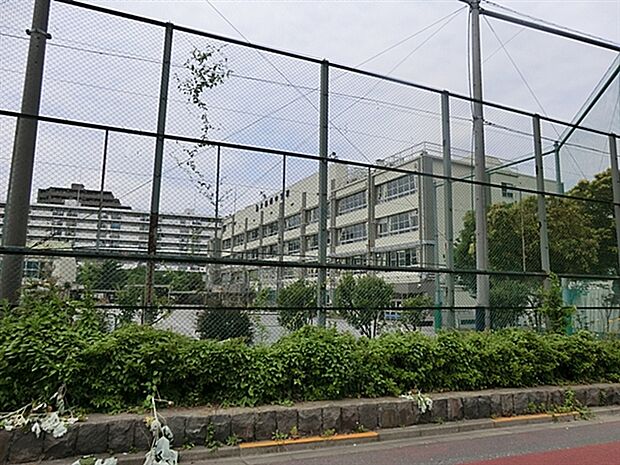江東区立大島西中学校（約811m）