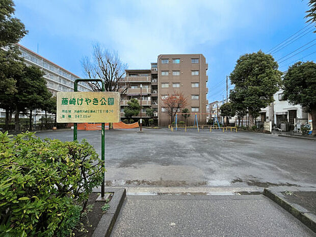 藤崎けやき公園（約449m）