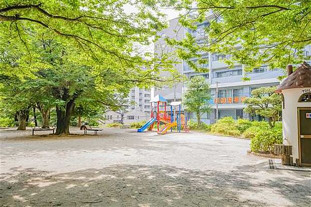 一ツ木公園（約708m）