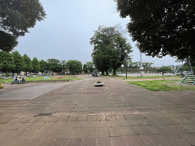 藁田島公園(約250m)