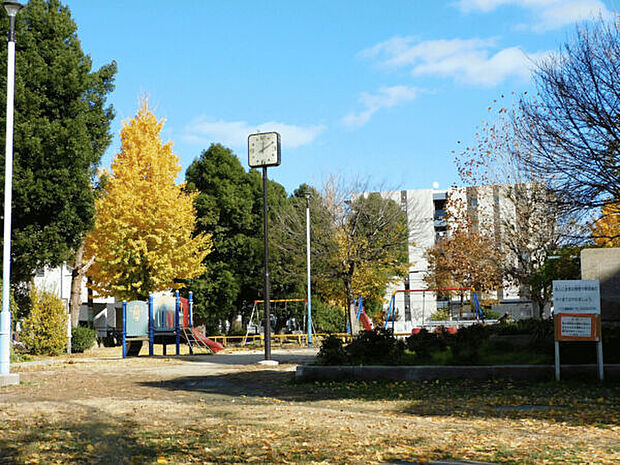 塚本公園(約554m)